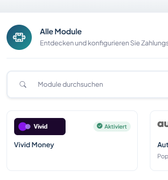 VIVID.Money Payment